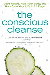 The Conscious Cleanse: Lose Weight, Heal Your Body, and Transform Your Life in 14 Days (Complete Idiot’s Guides (Lifestyle Paperback))